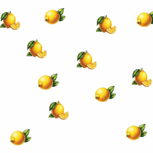 wrap_citron_1950890930