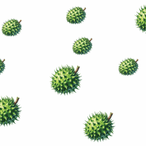 wrap_litchi_1519988619