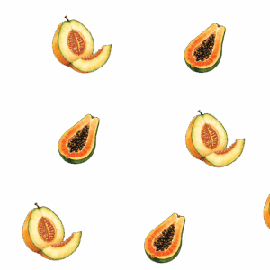 wrap_melon et grenade_2874929736